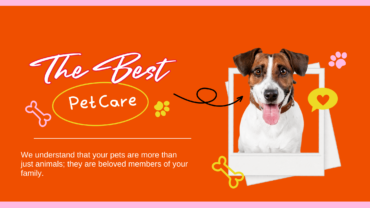 How to Prepare Your Pet for Pet Sitting Services in Halethorpe