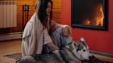 Keeping Your Dog Healthy and Happy During Halethorpe Winters